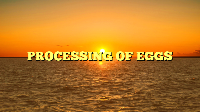 PROCESSING OF EGGS